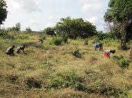 Pwani Hope School